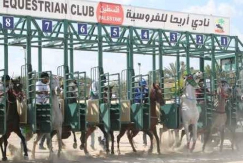 اتحاد الفروسية يختتم بنجاح الجولة الثامنة لسباق السرعة للخيول العربية الاصيلة