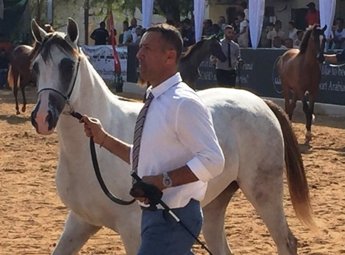 اتحاد الفروسية ينظم بطولة جمال الخيول العربية في أريحا