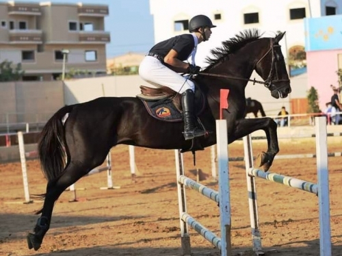الفارس محمد السعدي يتوج بلقب البطولة الرابعة لقفز الحواجز والعلمي وصيفا له