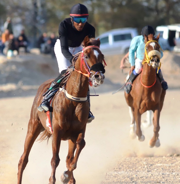 اتحاد الفروسية يختتم منافسات الجولة الرابعة من سباقات الخيول